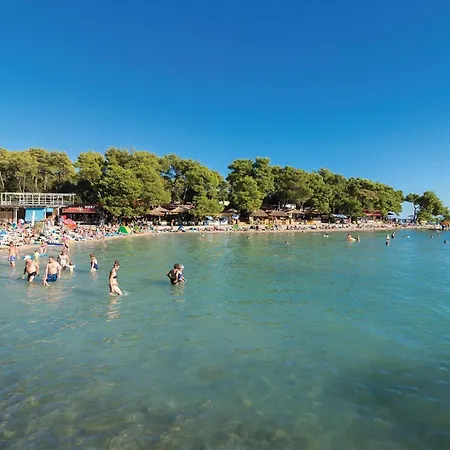 Pet Friendly In Tatil Evi